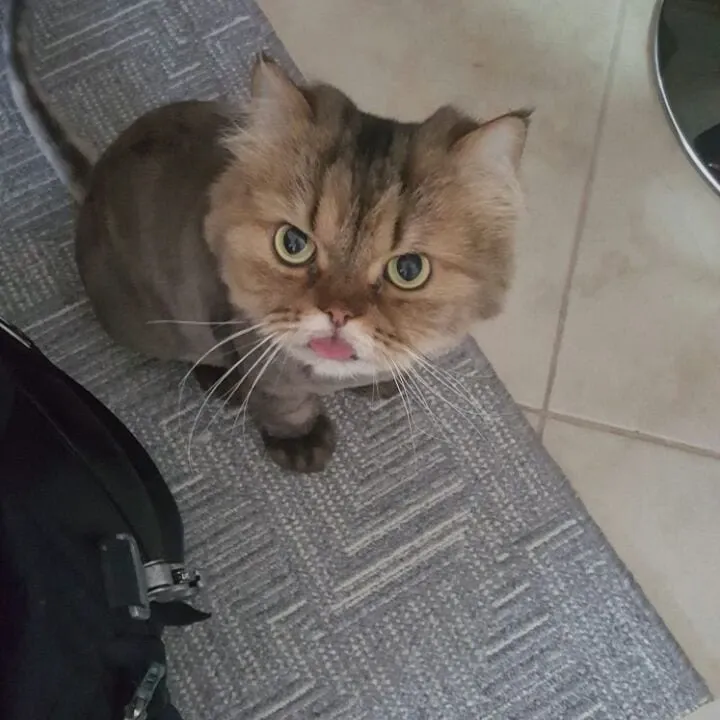 Review image 3 from Amelia Venter